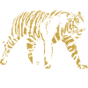 Wilder Tiger, Altmodisch, Abbildung