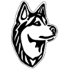 Chien husky