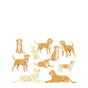 Humorous dog motif with text
