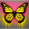 papillon