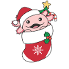 Axolotl Noël Neige Hiver Animaux Axolotls