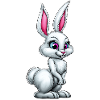 cute white bunny :)