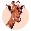 Modern Illustrative Giraffe Design
