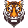 Tiger Head :)