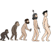 Human Development - Evolution Illustration