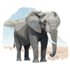Geometric elephant in savannah style