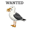 Wanted: French Fries Seagull