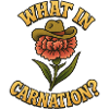 What in carnation