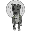 Resilient Dog Illustration