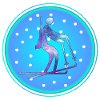 Biathlon Winter Snow