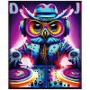 DJ HIBOU