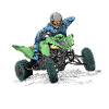 quad