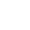 Heartbeat of a Squirrel