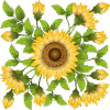 Fleur