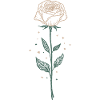 Elegant Rose Illustration