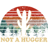 Desert Cactus Sunset Inspirational 