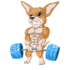 Chihuahua Weightlifting