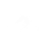 Horse Heartbeat