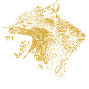 Golden Wolf Illustration Design
