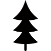 Fir