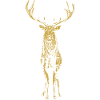 Cerf Éclat Orangé Dessin Detailé