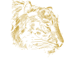 Elegant and Wild Tiger