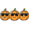Pumpkins with Sunglasses Funny Design