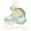 DJ Slowdrop Schildkröte Am DJ Pult