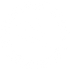 White Viking Raven Skull