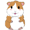 Cobaye adorable en design kawaii