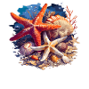 Starfish Starfish