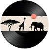 Disque vinyle African Sunset
