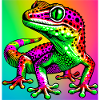 Gecko