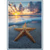 Starfish Starfish