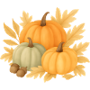 Autumn pumpkins