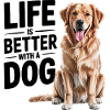 Life Is Better With a Dog