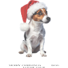 Jack Russell Terrier Christmas hat
