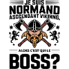 Impactful Norman Viking