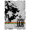 Lion face with reggae flag