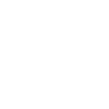 lion face lion head