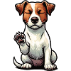 Jack Russell terrier Jack Russell amoureux Jackie