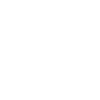 Bat Skull Graphic Halloween