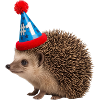 Hérisson festif avec chapeau de fête