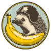 Hérisson avec motif casque et banane
