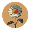 Minimalist Daisy Illustration