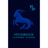 Steinbock Sternzeichen 22.12. – 19.01. Design