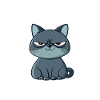 Peluche autour et découvre le chat
