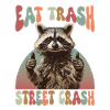 Raccoon Eat Trash Street Crash Meme