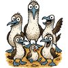Charming seabirds illustration