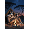 Wildebeest Humanoid Pair